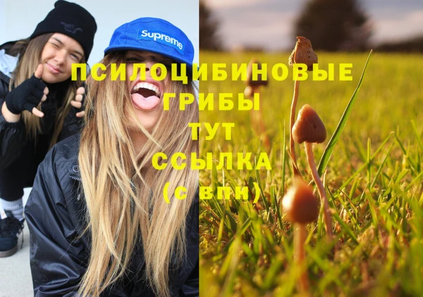 гидропоника Белокуриха