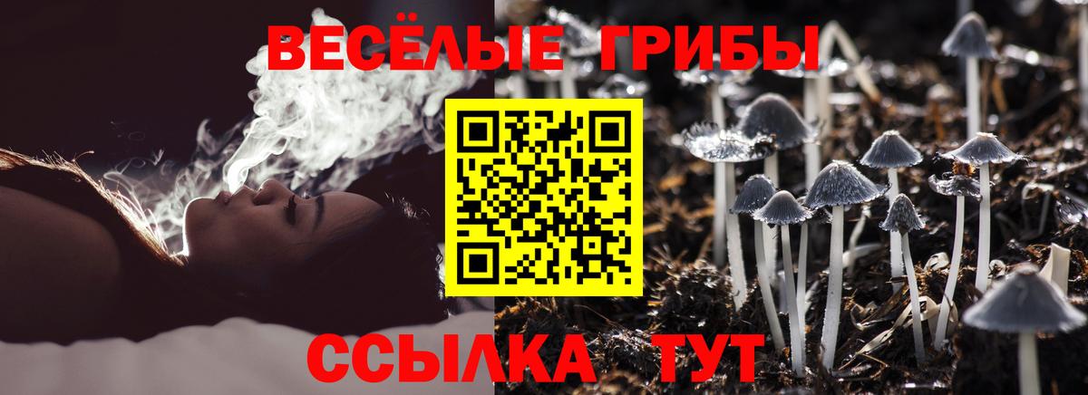 Галлюциногенные грибы Psilocybe Кушва