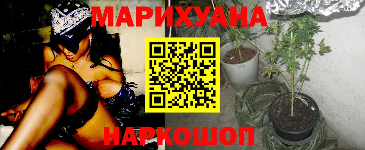 Канабис планчик Кушва